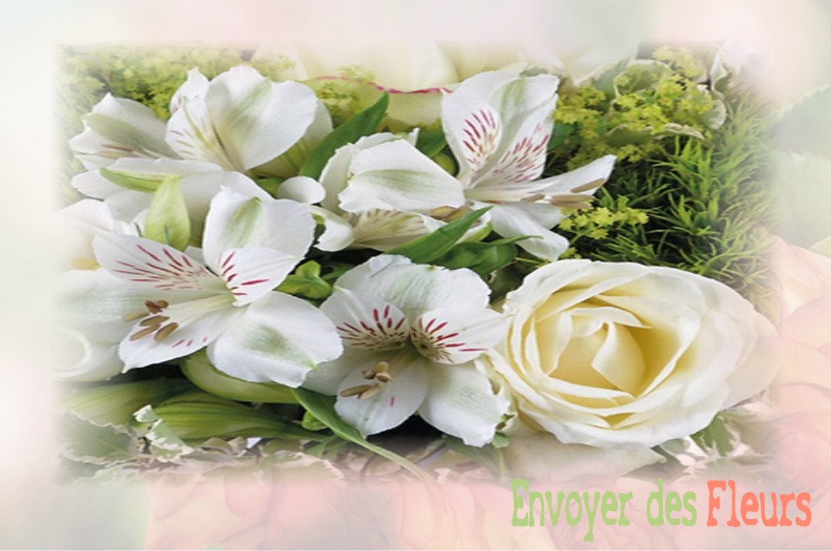 envoyer des fleurs à à VILLENEUVE-D-AMONT