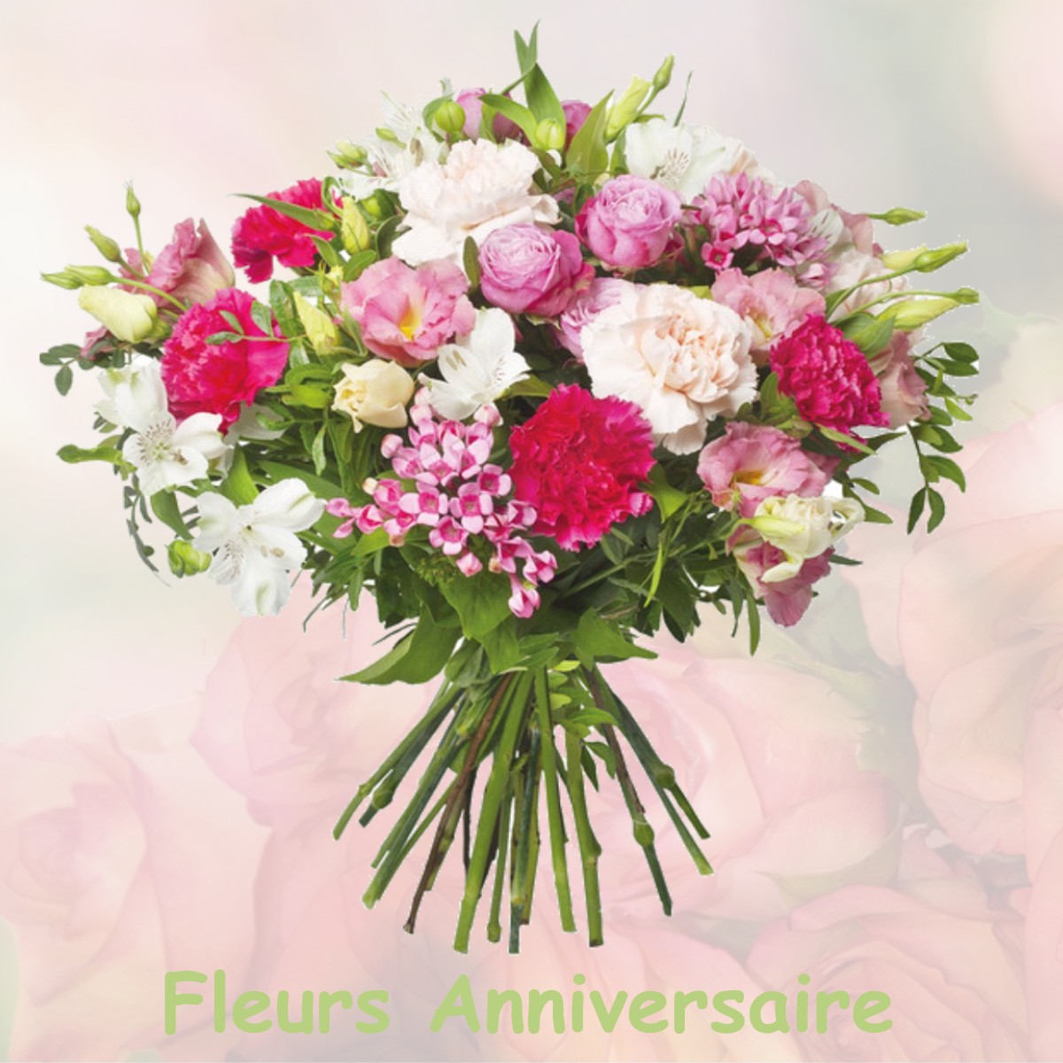 fleurs anniversaire VILLENEUVE-D-AMONT